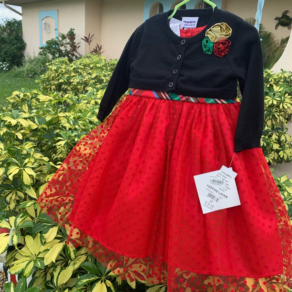 COPY - NWT gorgeous red dress with green plaid - Picture 10 of 12